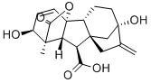 77-06-5   赤霉素   Gibberellic acid