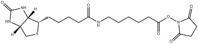 72040-63-2   生物素化-epsilon-氨基己酸-N-羟基丁二酰亚胺活化酯     Succinimidyl 6-(biotinamido)hexanoate