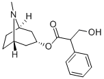51-55-8   阿托品   Atropine 
