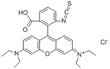 36877-69-7   罗丹明B异硫氰酸酯  RHODAMINE B ISOTHIOCYANATE