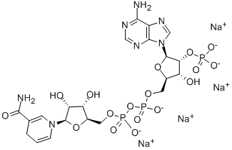 2646-71-1   还原型辅酶II   BETA-NADPH TETRASODIUM SALT 