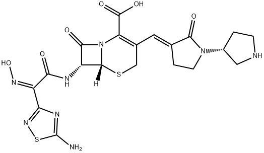 209467-52-7   Ceftobiprole 