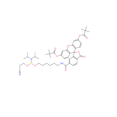  CAS：204697-37-0，5'-荧光素氨基磷酸酯