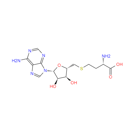 CAS：979-92-0，中文名称：S-(5’-腺苷)-L-高半胱氨酸
