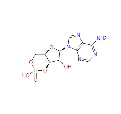 CAS：60-92-4，环磷酸腺苷 
