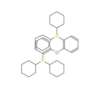 CAS：434336-16-0，双(二环己基膦基苯基)醚 
