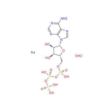 CAS：34369-07-8，腺苷-5'-三磷酸二钠盐,水合物 