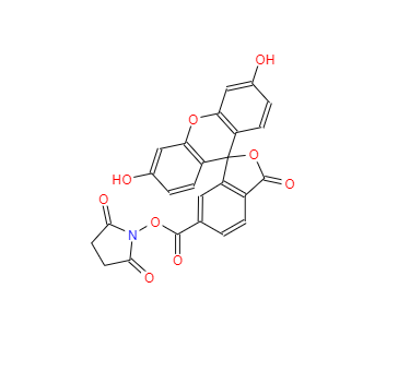 CAS：92557-81-8，6-羧基荧光素琥珀酰亚胺酯 