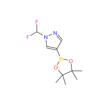 CAS：1206640-82-5，1-(二氟甲基)-4-(4,4,5,5-四甲基-1,3,2-二氧硼杂环戊烷-2-基)-1H-吡唑 
