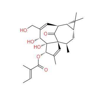 CAS：75567-37-2，巨大戟醇-3-O-当归酸酯(巨大戟醇甲基丁烯酸酯)