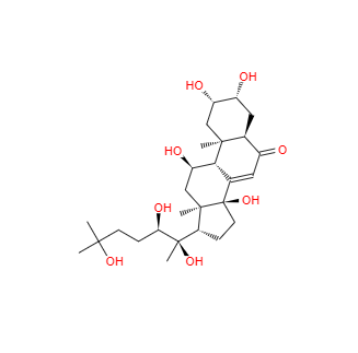 CAS：41451-87-0，筋骨草提取物 