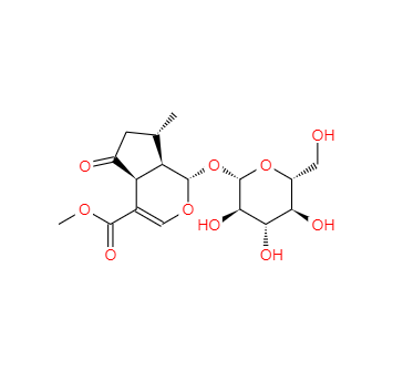 CAS：548-37-8，马鞭草苷 