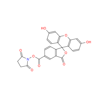 CAS：92557-80-7，5-羧基荧光素琥珀酰亚胺酯 