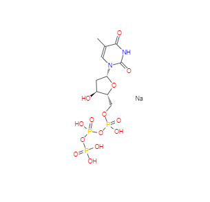 CAS：27821-54-1，胸苷-5'-三磷酸三钠盐 