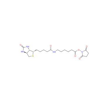 CAS：72040-63-2，N-琥珀酰亚氨基6-生物素氨己酸