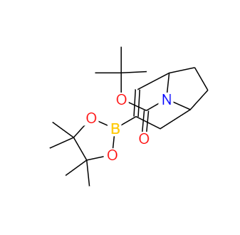 CAS：900503-08-4，8-氮杂双环[3,2,1]辛烯-8-叔丁酰基-3-硼酸酯