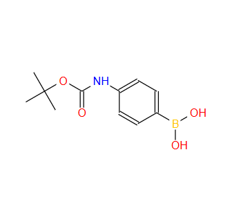 CAS：380430-49-9，4-(N-BOC-氨基)苯硼酸 